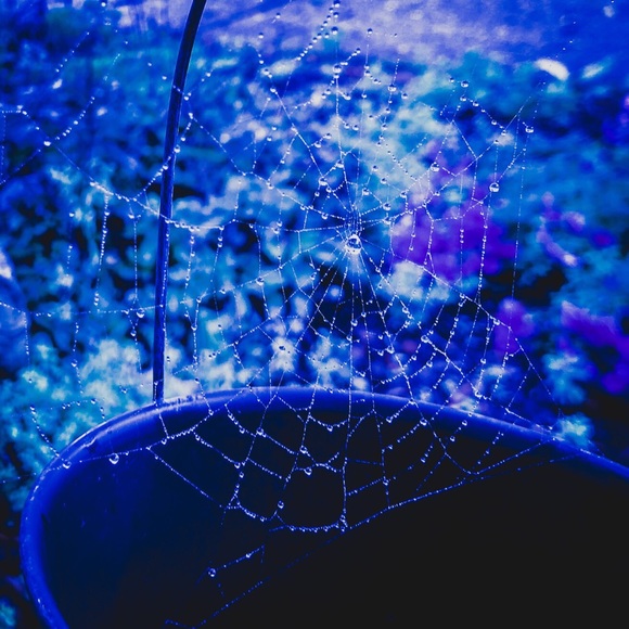 🍀Posher/Artist - Kat Vixos🧚🏻‍♀️ - Picture 7 of 8